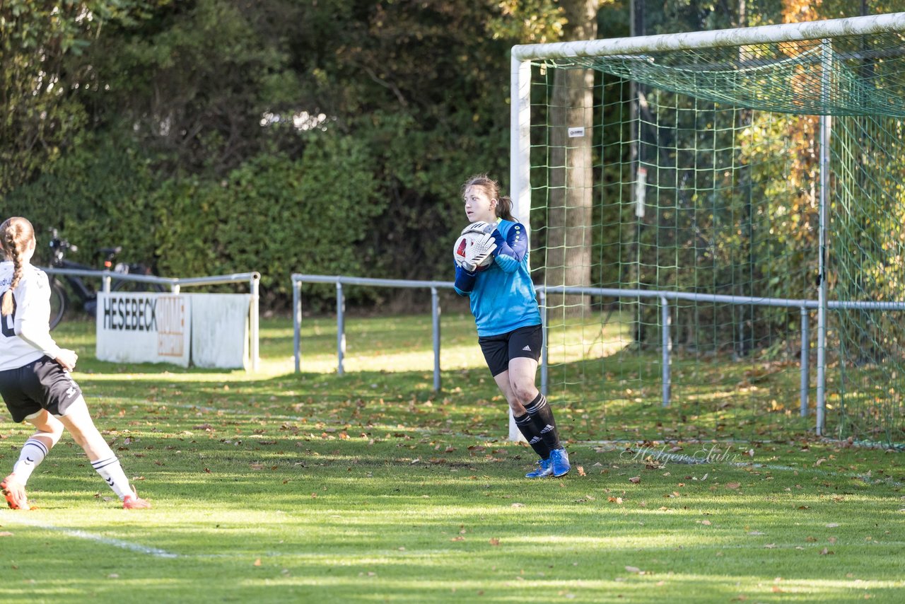 Bild 411 - F SV Henstedt Ulzburg2 - FSG Kaki-StuSie : Ergebnis: 2:2